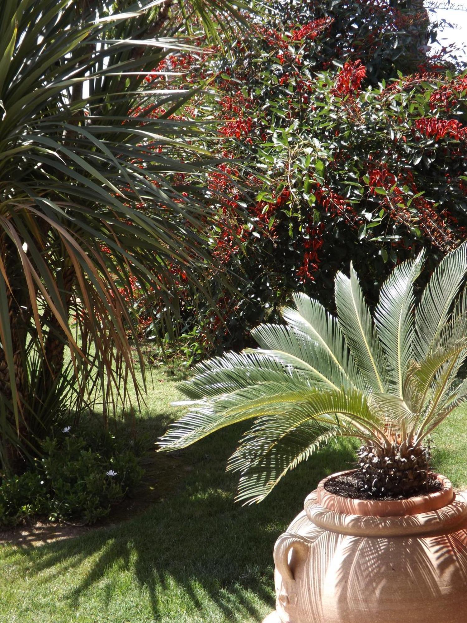 Le Anfore Hotel Villasimius Dış mekan fotoğraf